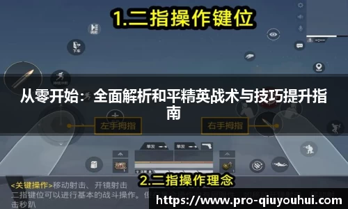 从零开始：全面解析和平精英战术与技巧提升指南